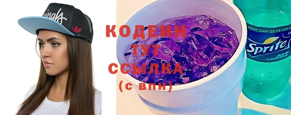 дмт Осинники