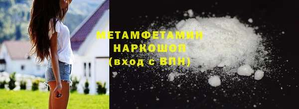 шишки Няндома
