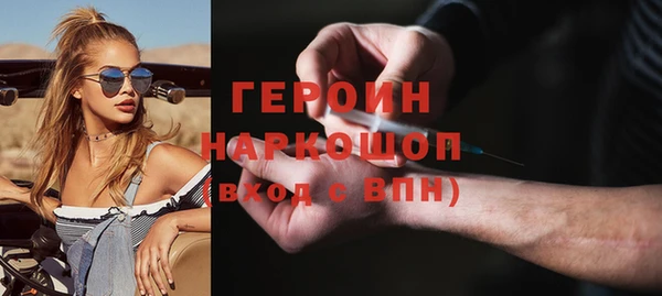 шишки Няндома