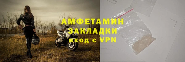 шишки Няндома