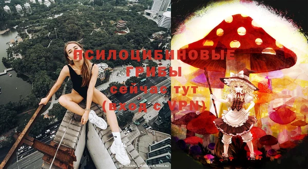 дмт Осинники