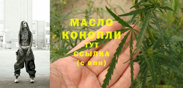 дмт Осинники