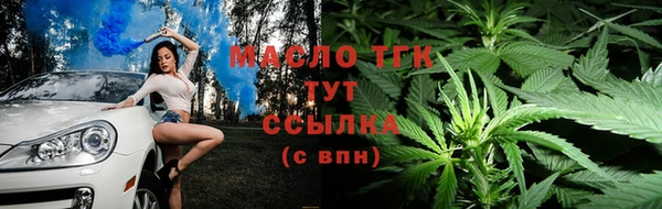 прущие грибы Нязепетровск