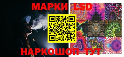 индика Гай