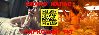 дмт Гатчина