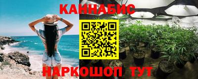 индика Гай