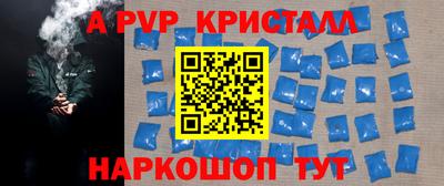 индика Гай