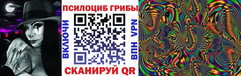 Псилоцибиновые грибы Psilocybe где найти наркотики Павлово