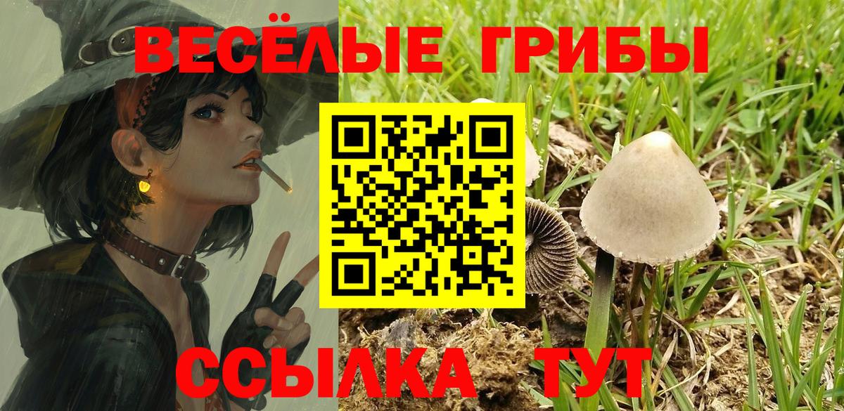 Псилоцибиновые грибы Psilocybe  Вход с VPN  Павлово  Галлюциногенные грибы MAGIC MUSHROOMS 