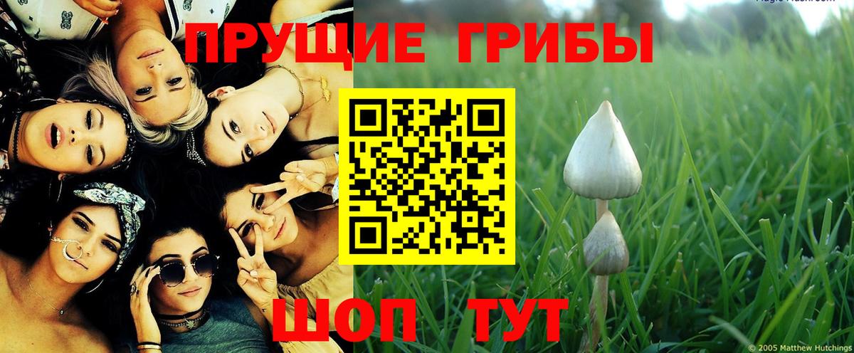 Галлюциногенные грибы MAGIC MUSHROOMS  Павлово  Псилоцибиновые грибы Cubensis 